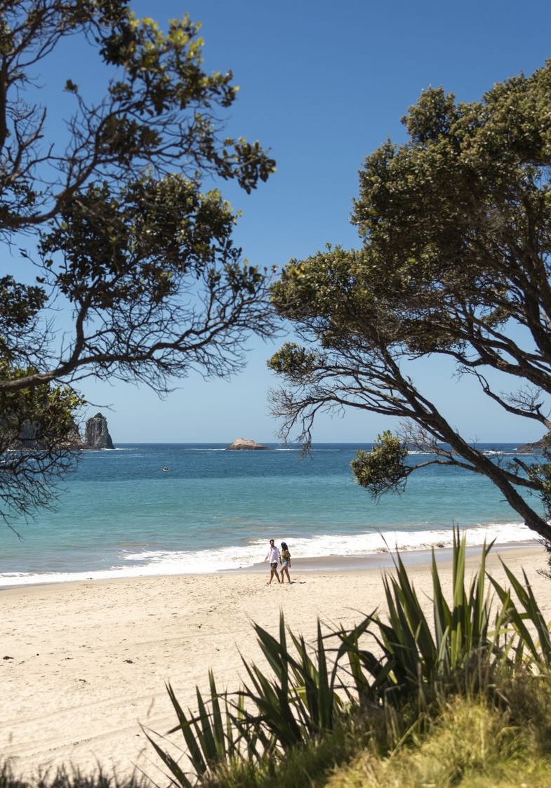 Coromandel Peninsula, Rotorua & Taupō
