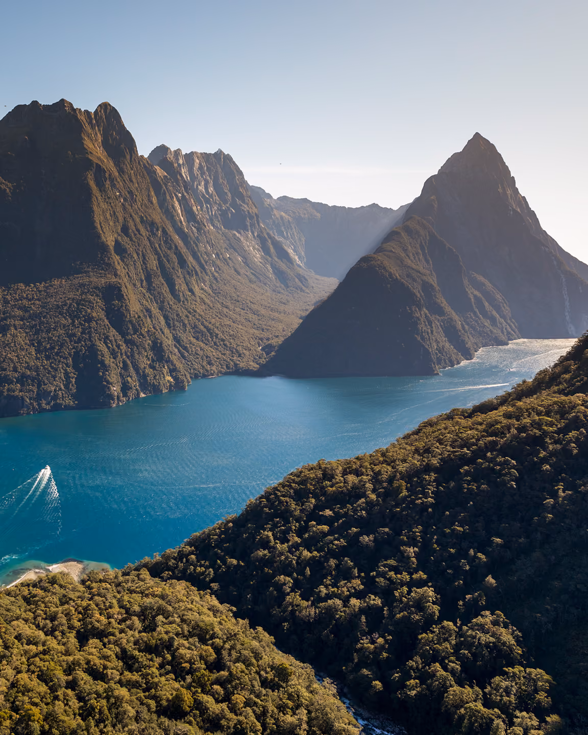Fiordland Wilderness & Departure