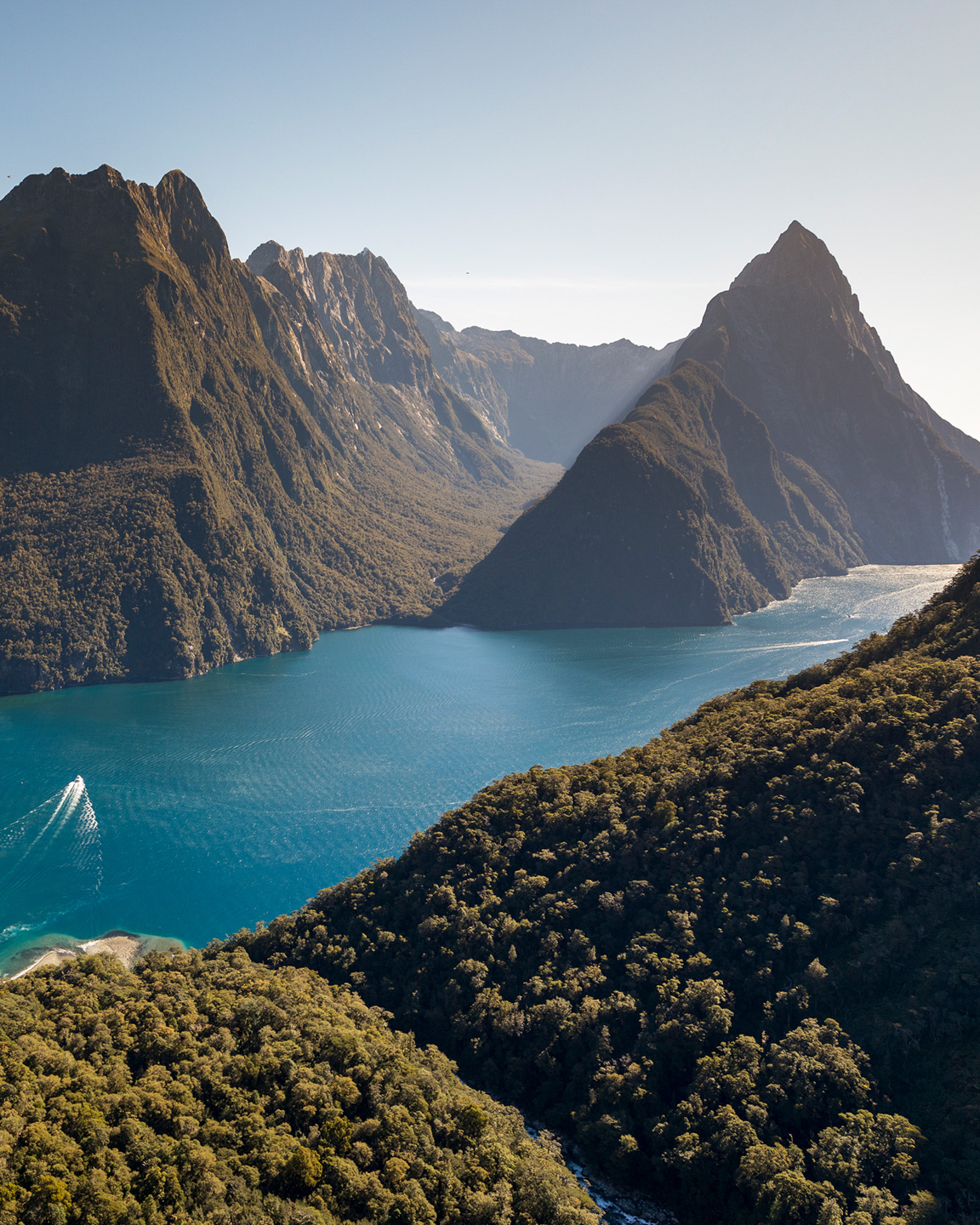 Fiordland Wilderness & Departure