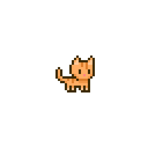 Erin's Cat