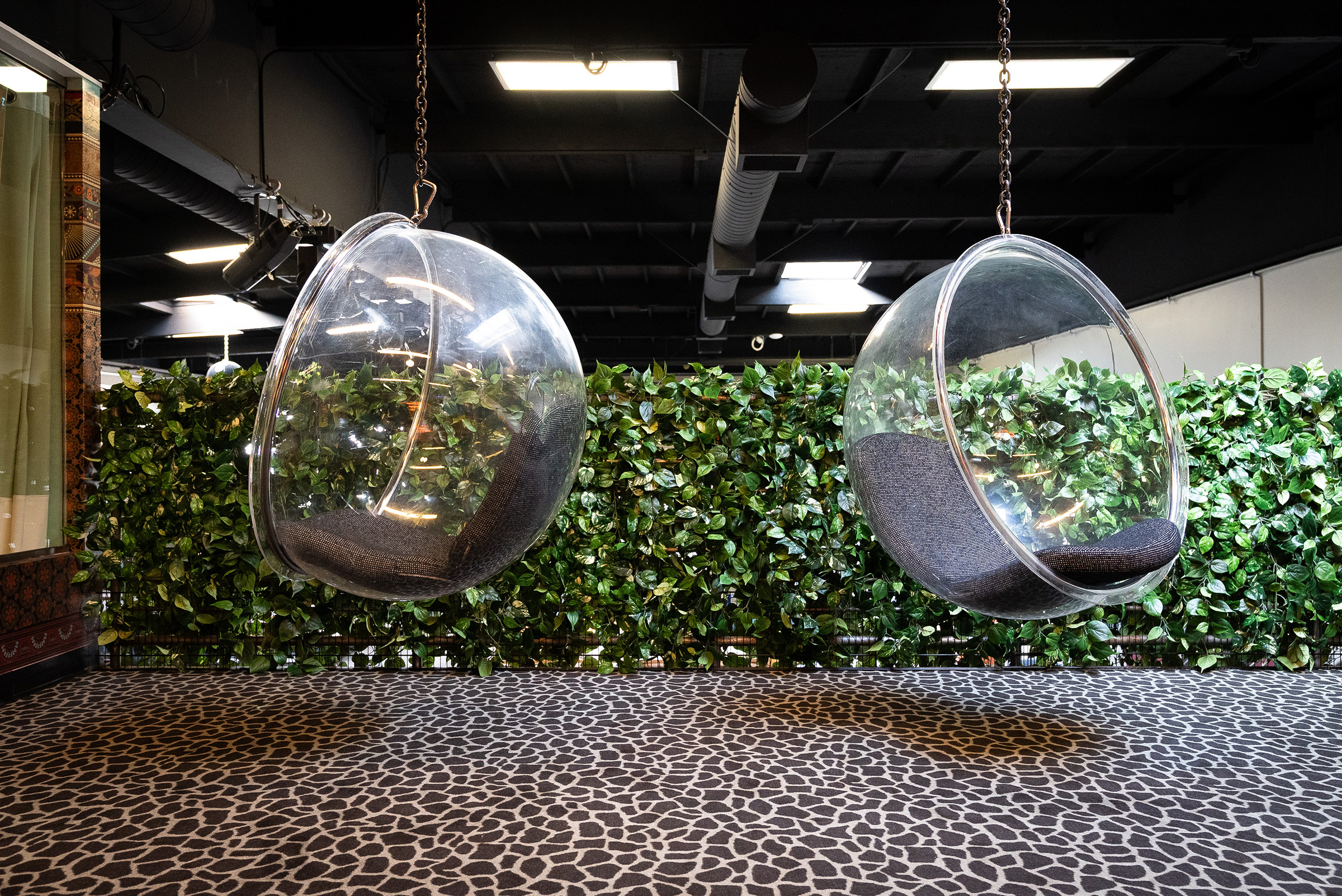 Two transparent hanging bubble chairs with dark cushions suspended in front of a green leafy wall on a patterned floor.