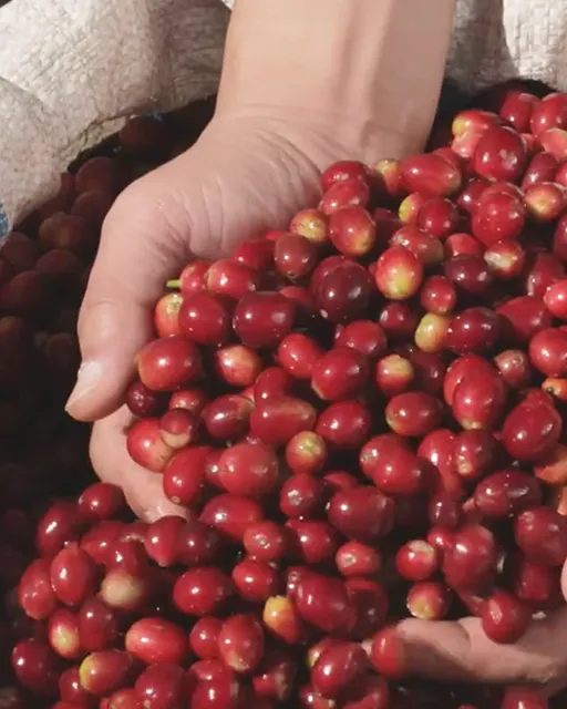 A blurry photo of a man running.