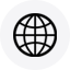 Globe icon
