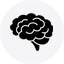 Brain icon