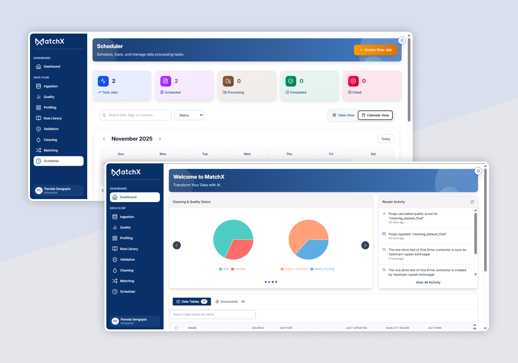MatchX AI powered data quality platform