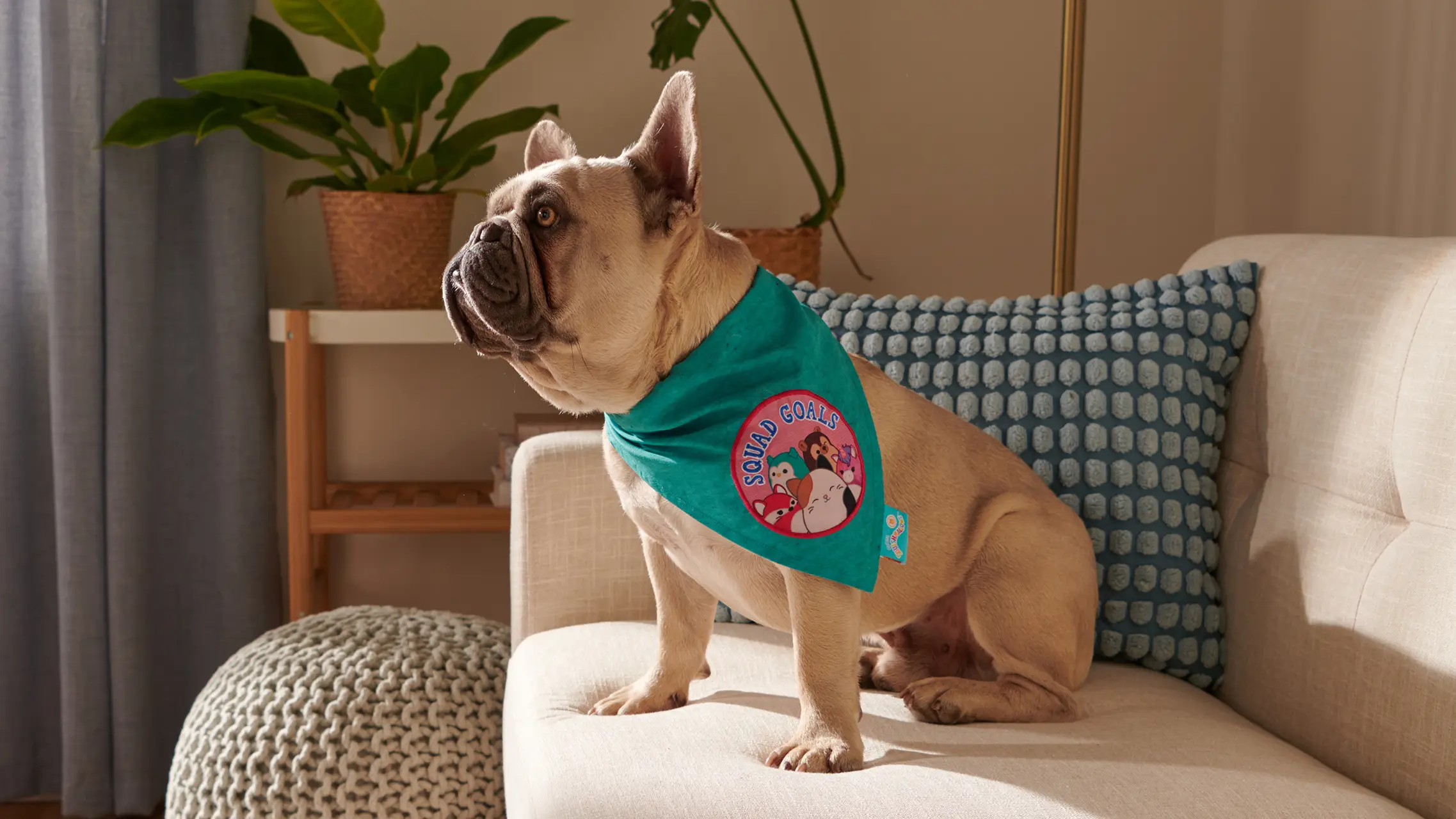 Golden retriever wearing a teal Squishmallows themed pet bandana sitting indoors