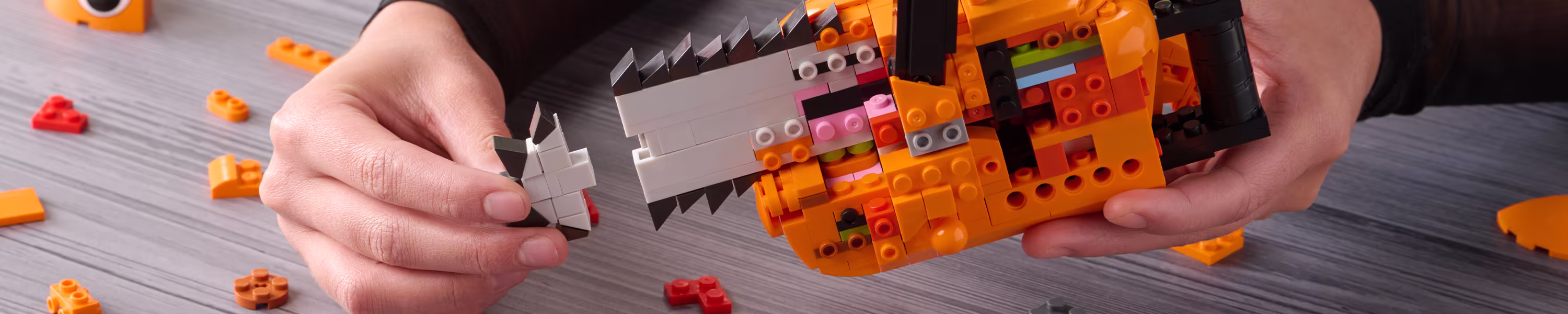From Bricks to Visuals, Built With Imagination on Every Set.