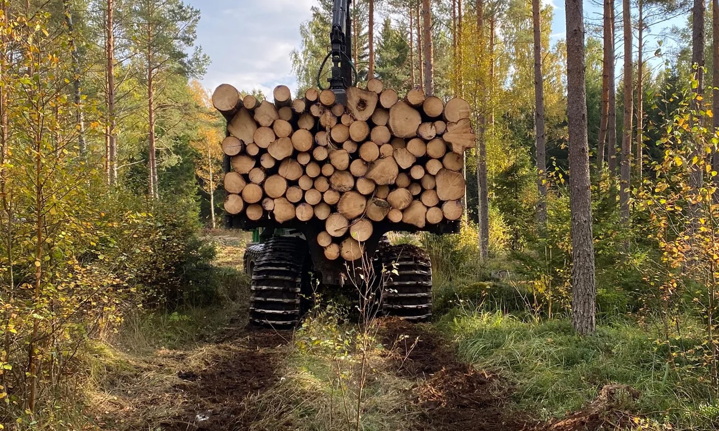 Husa Skog – jord- och skogsbruk i Sverige