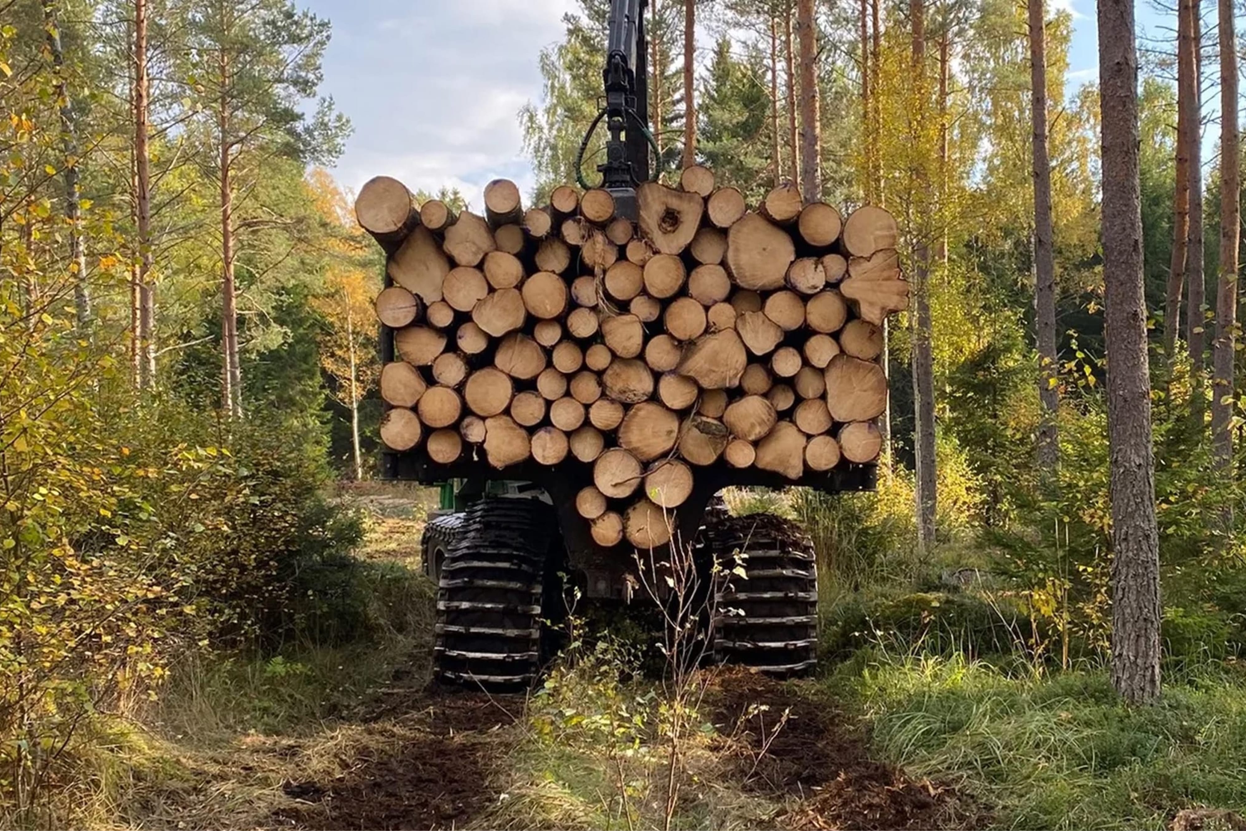Skogsmark i Halland förvärvad av Husa Skog