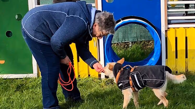 Eine Frau trainiert einen angeleinten Hund in einem bunten Hundepark mit Tunnel.