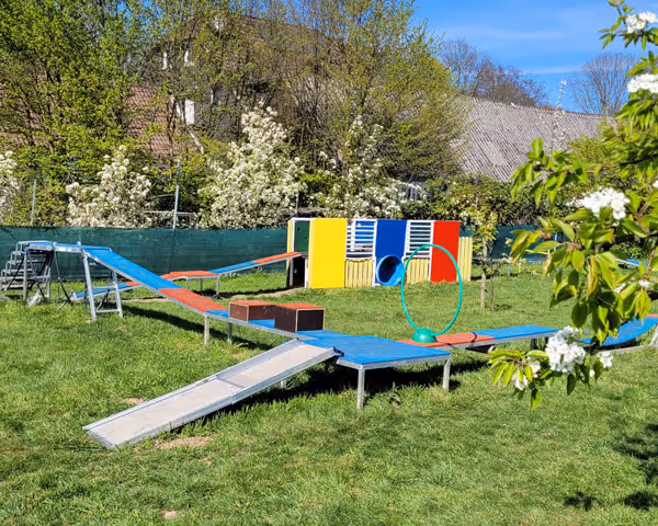 Bunte Hundesport-Agility-Anlage mit Rampen, Hindernissen und Reifen im grünen Garten.