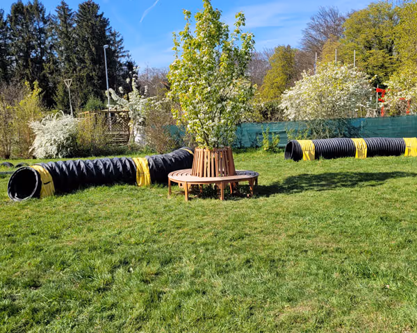 Runder Holzbänkchen um jungen Baum auf offenem Grasfeld mit zwei schwarzen Kunststofftunneln.