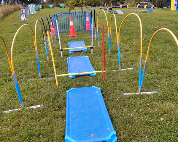 Hindernisparcours im Freien mit gelben Bögen, blauen Matten und Verkehrshütchen auf Gras