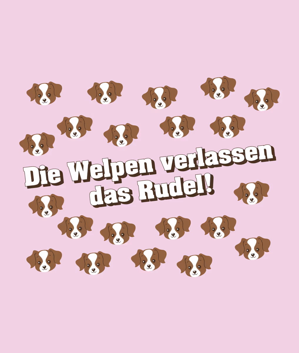 A236-Welpen Front.png