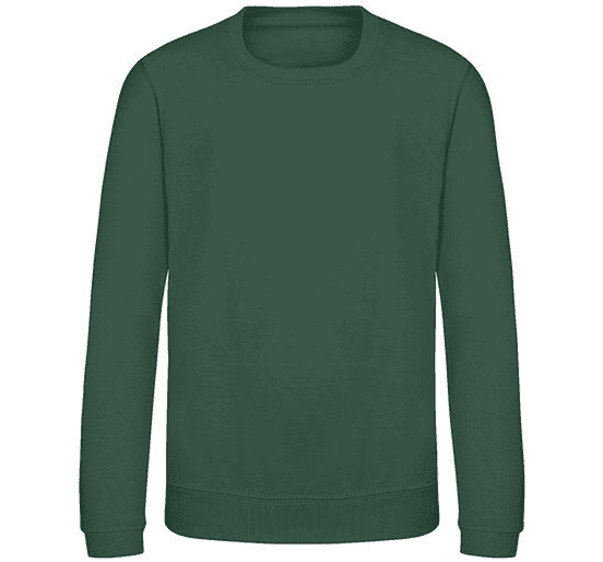  Basic Sweater Regular Fit