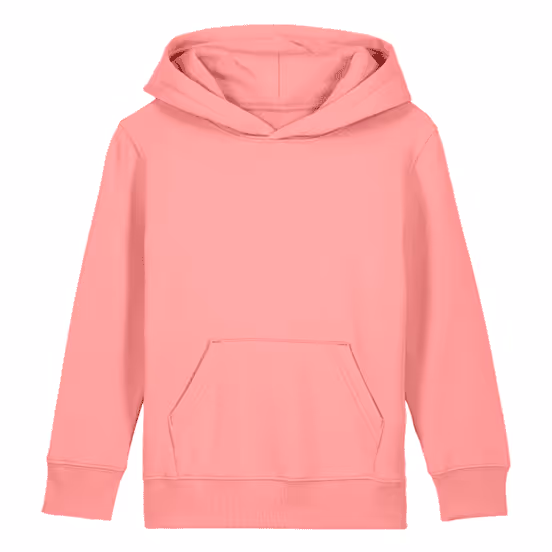 Mini Cruiser Premium Hoodie Regular Fit