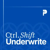 ctrl+shift+underwrite