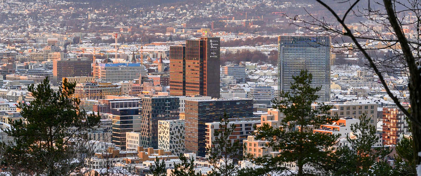 Bybilde med høye bygninger og snødekte tak, sett gjennom trær på en åsside.
