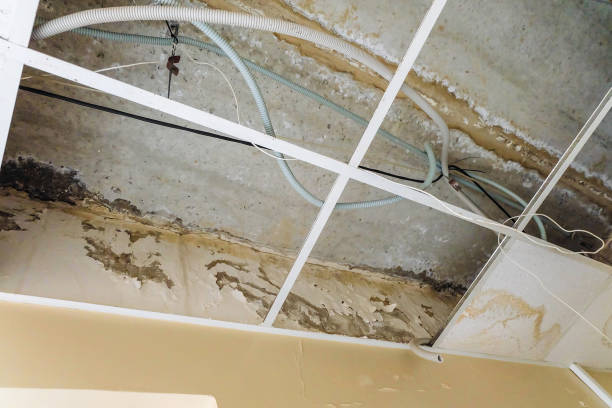 Slab Leak Repair in Camarillo, CA