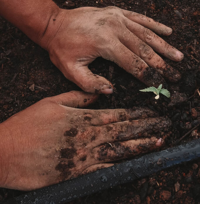 how we do card image