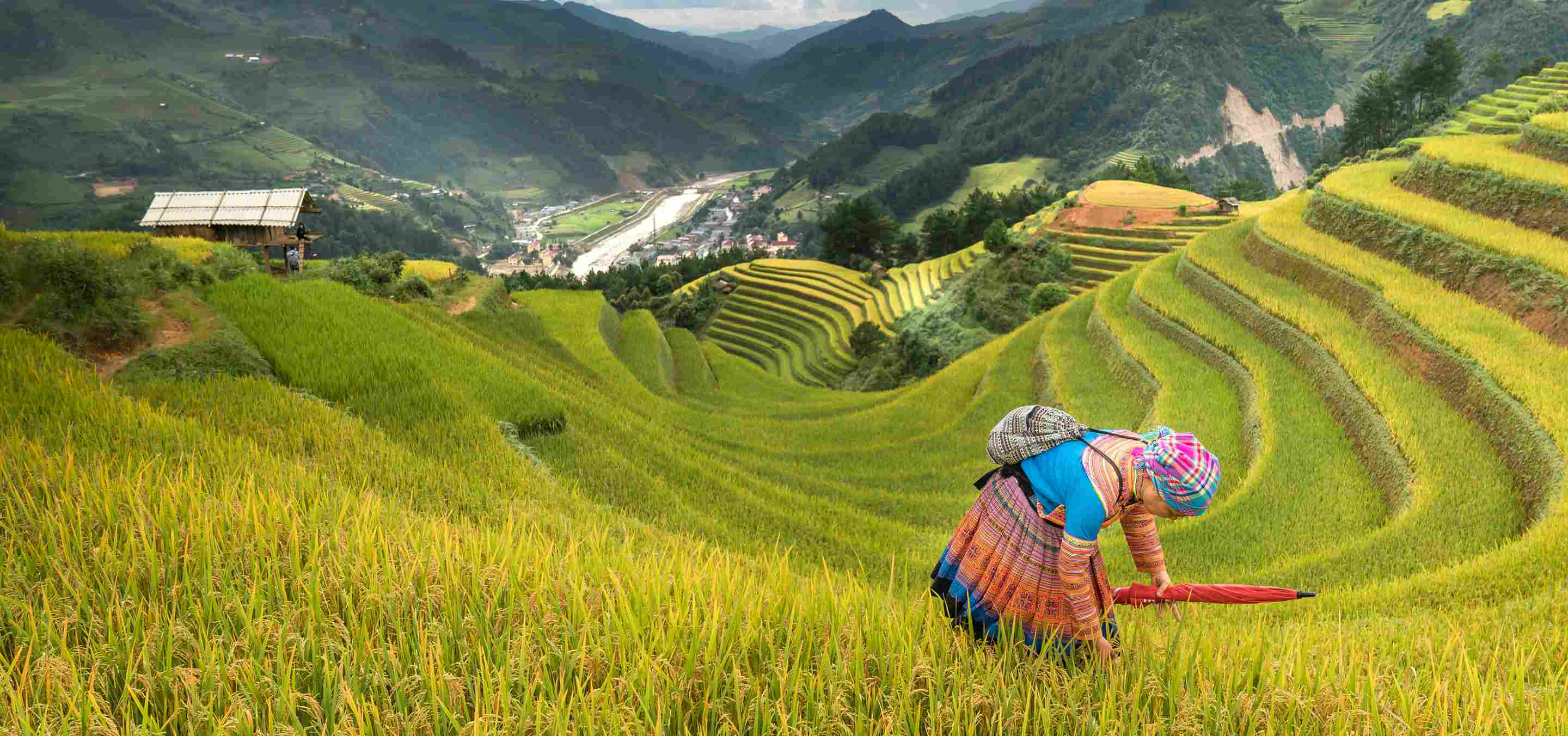 service page bg image