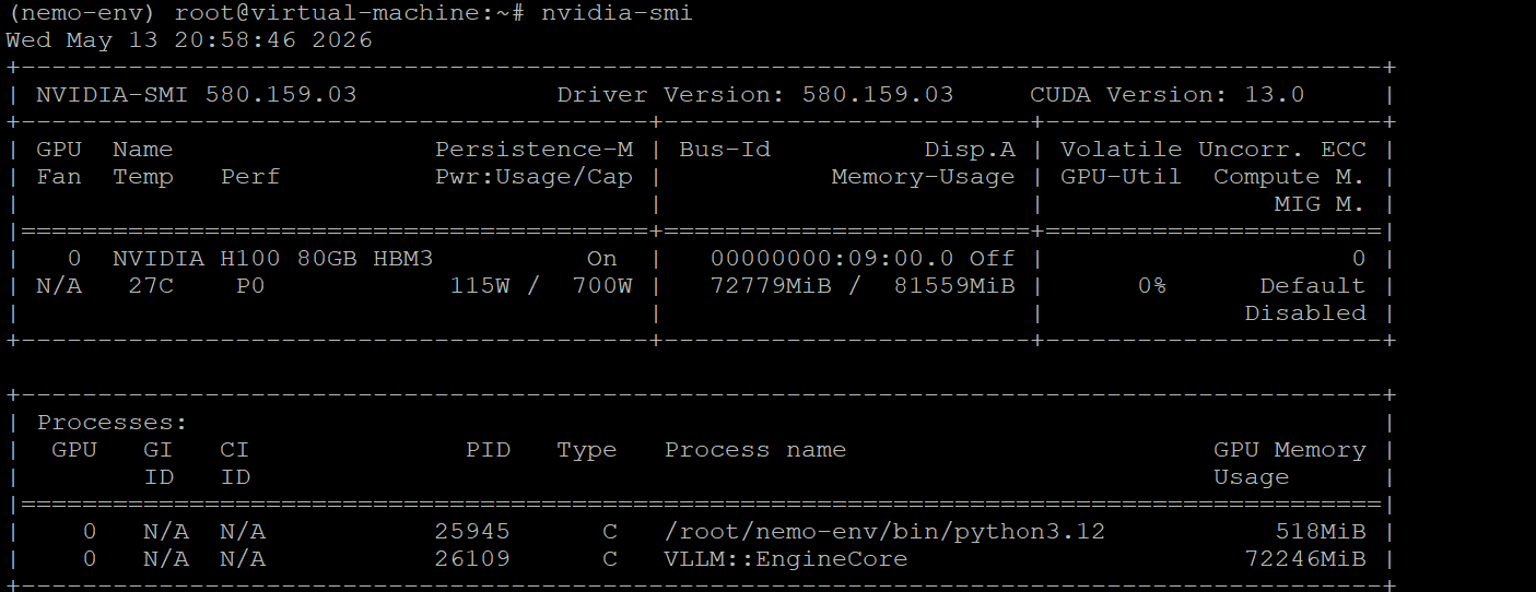 Nemotron Omni Memory VRAM Requirement