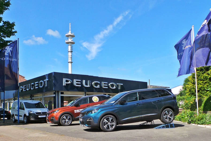 Klimaservice in der Werkstatt