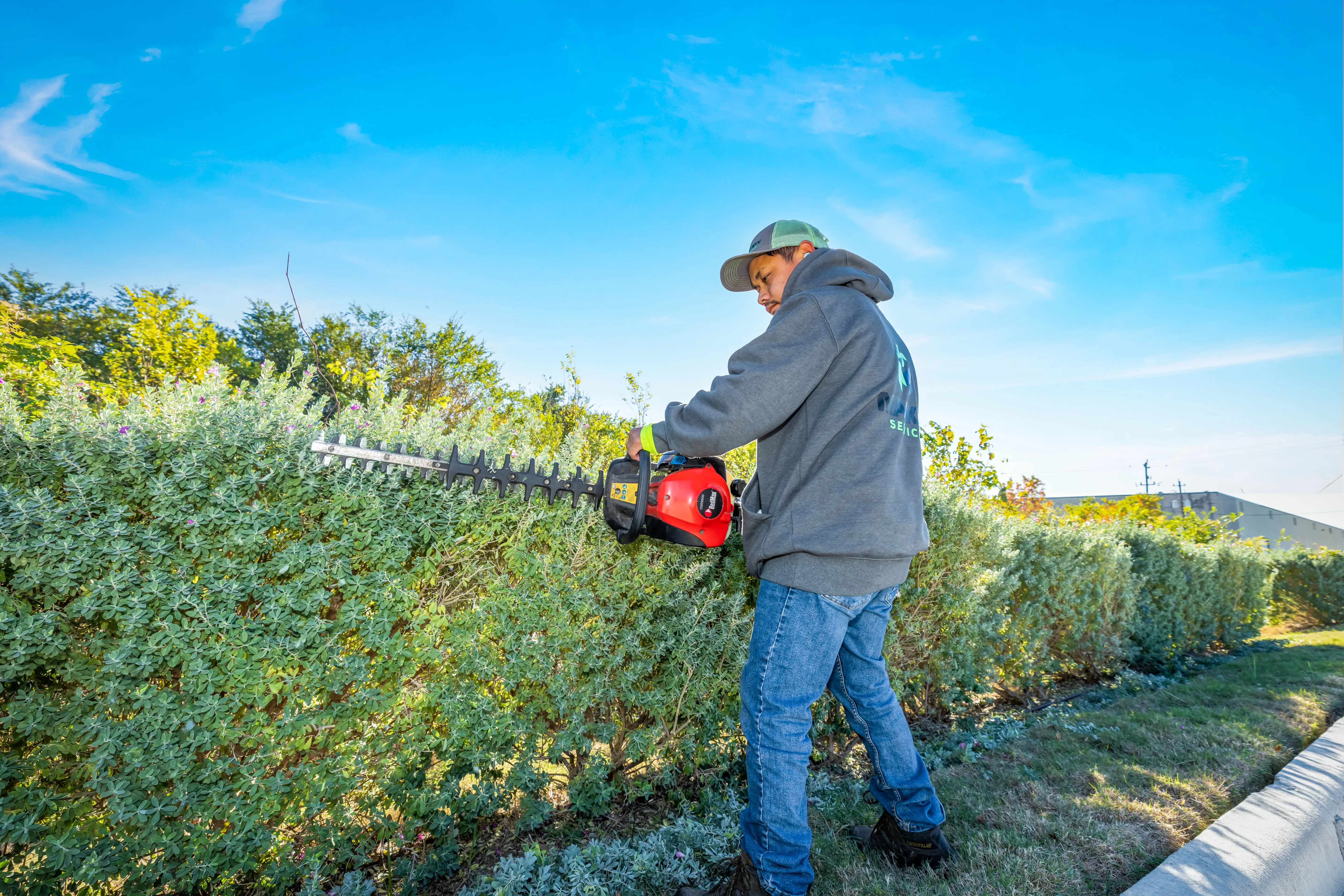 Landscape Maintenance in Dickinson, TX and the Greater Houston Area