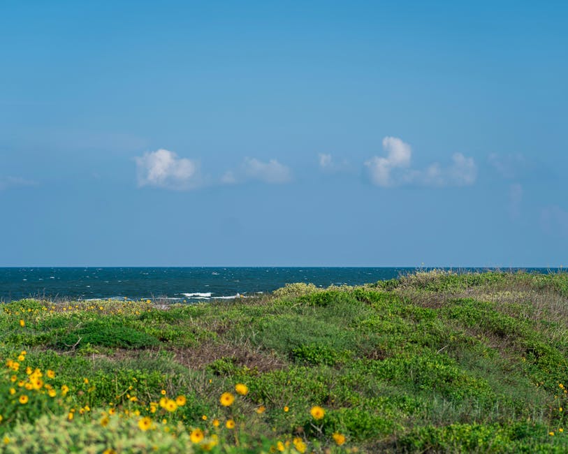 Surviving the Salt Air: A Guide to Coastal HVAC Longevity