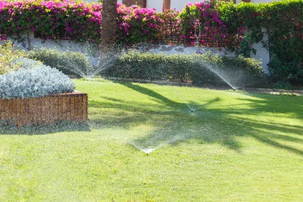 Irrigation Repair
