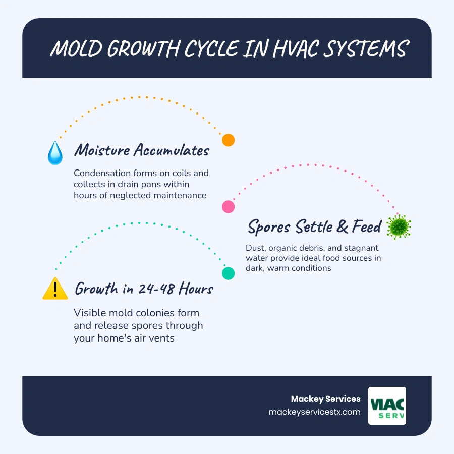 Infographic showing the 24-48 hour mold growth cycle in damp HVAC environments and key prevention steps infographic Infographic showing the 24-48 hour mold growth cycle in damp HVAC environments and key prevention steps infographic
