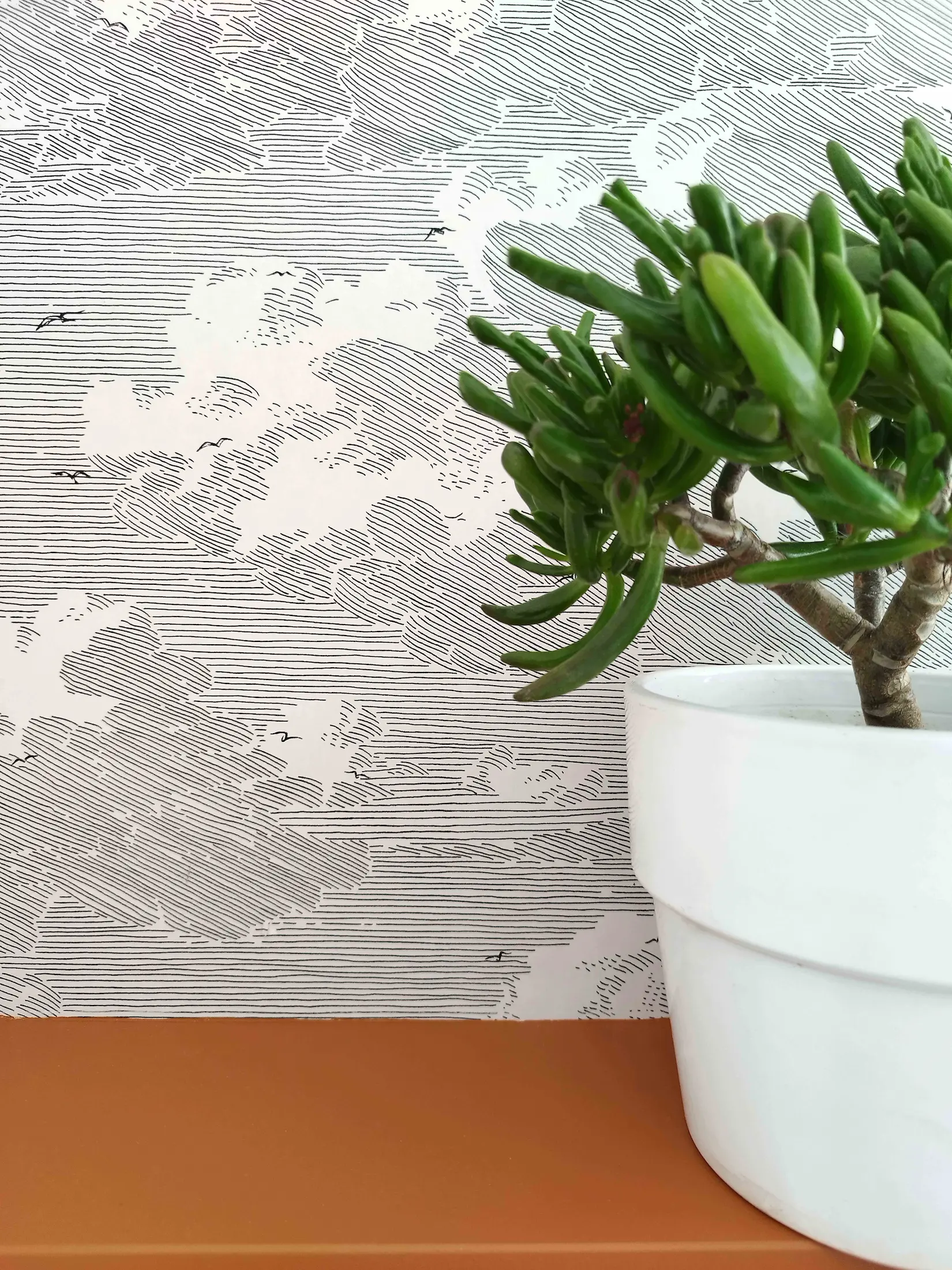 Gros plan sur un papier peint graphique en noir et blanc accompagné d’une plante verte en pot, élément décoratif du projet de restructuration d’appartement.