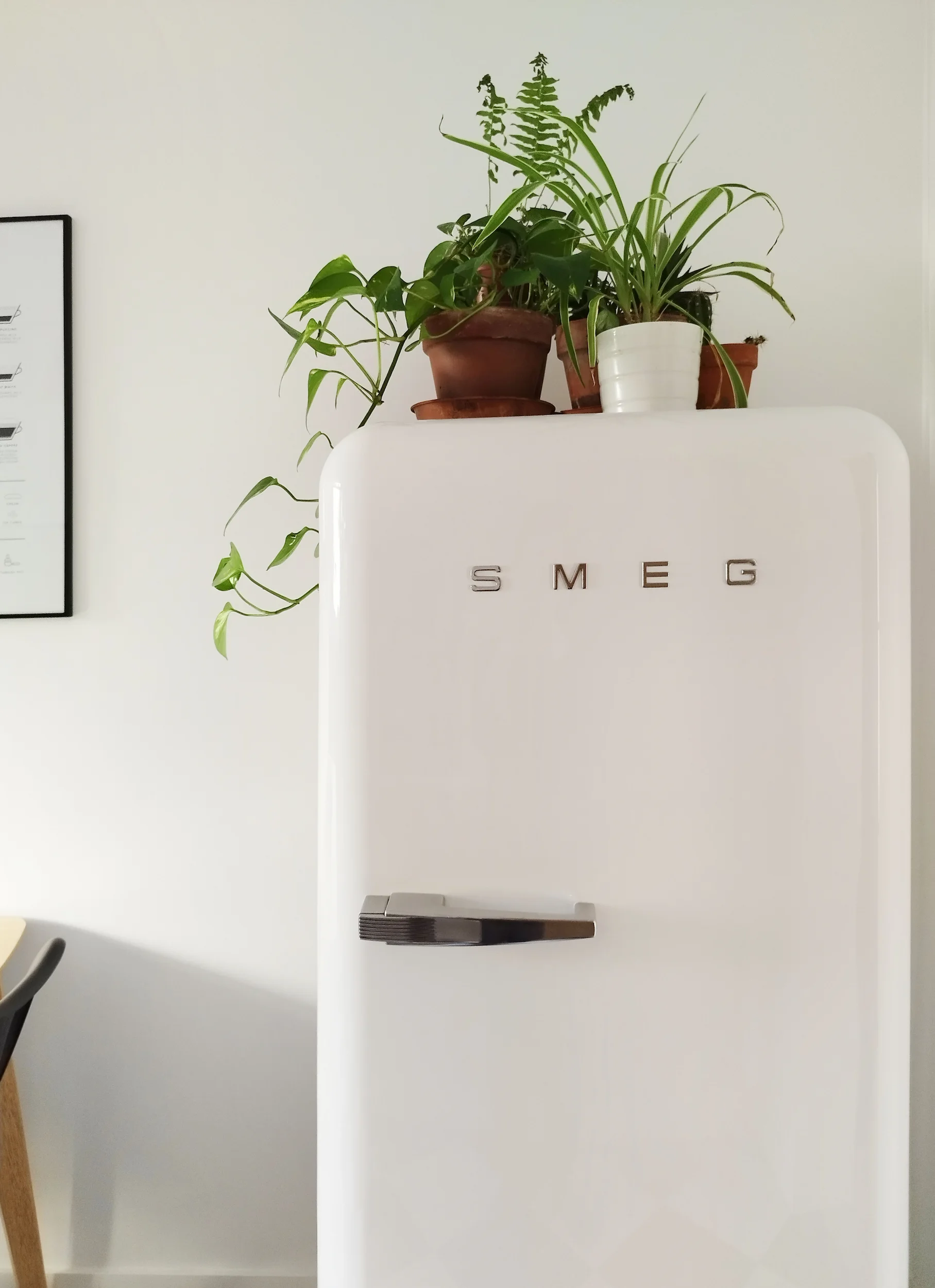 Réfrigérateur blanc SMEG avec plantes décoratives sur le dessus, intégré dans la cuisine rénovée d’un appartement lyonnais par Jiwa.a.