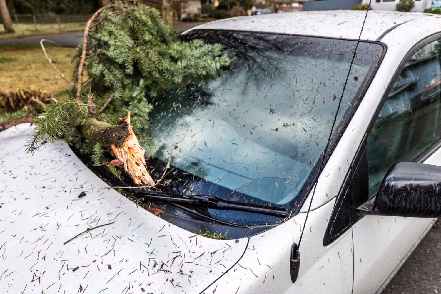 Wat te doen bij stormschade?