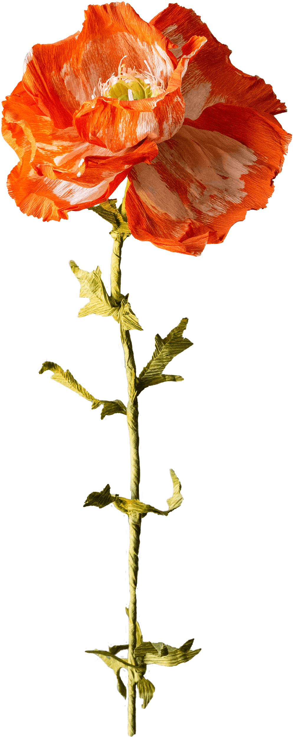 Orange poppy made of paper by Francisca Snel.