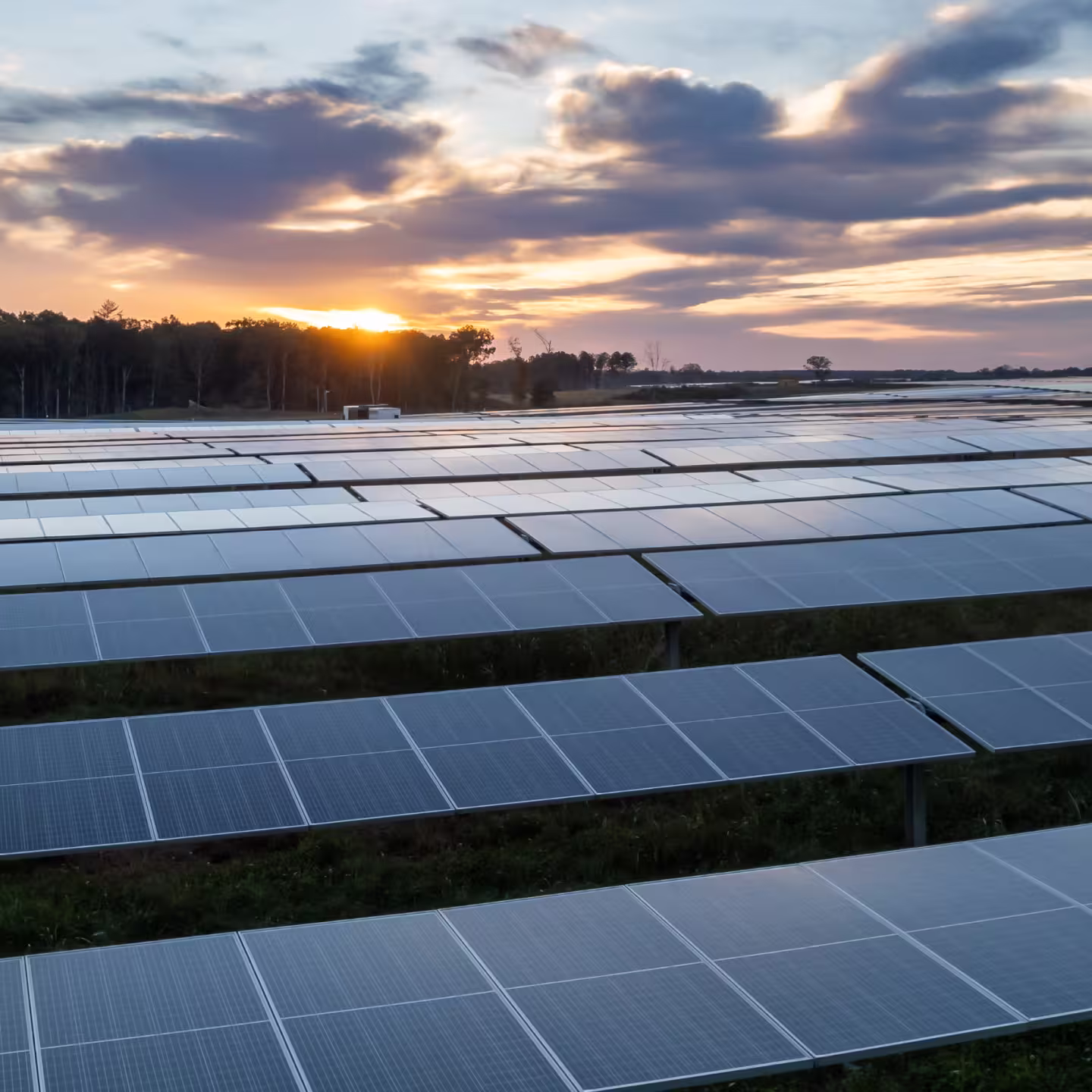 Rows of solar panels in a field reflecting sunset light with trees on the horizon.