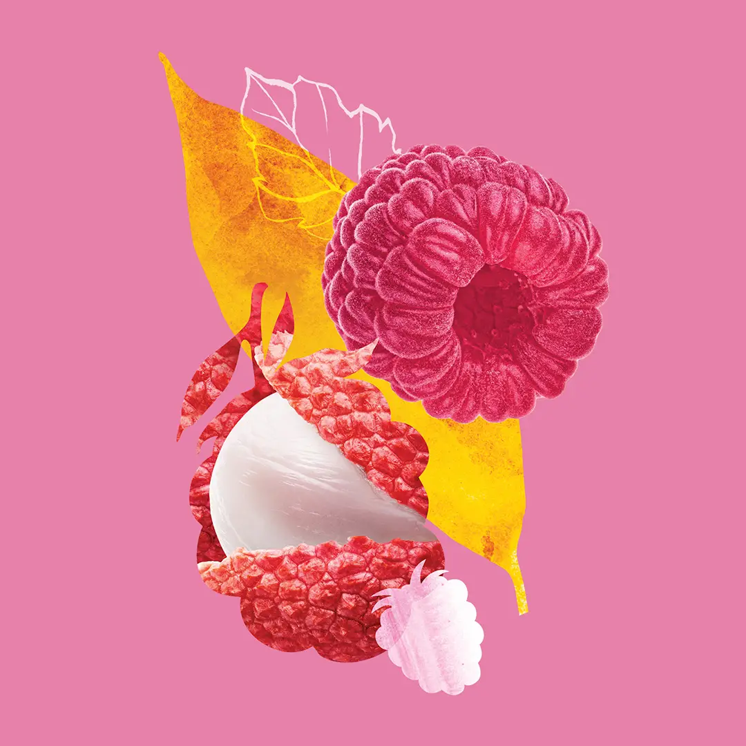 Illustration of a whole raspberry, a peeled lychee fruit, and a yellow leaf on a pink background.