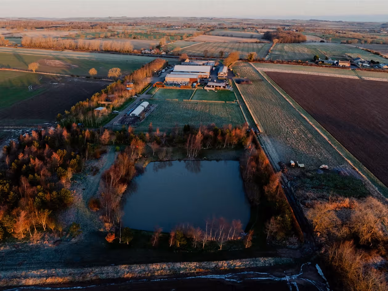 Aerial view of a rural landscape with a rectangular pond surrounded by trees, farmland, and farm buildings under a soft evening light.