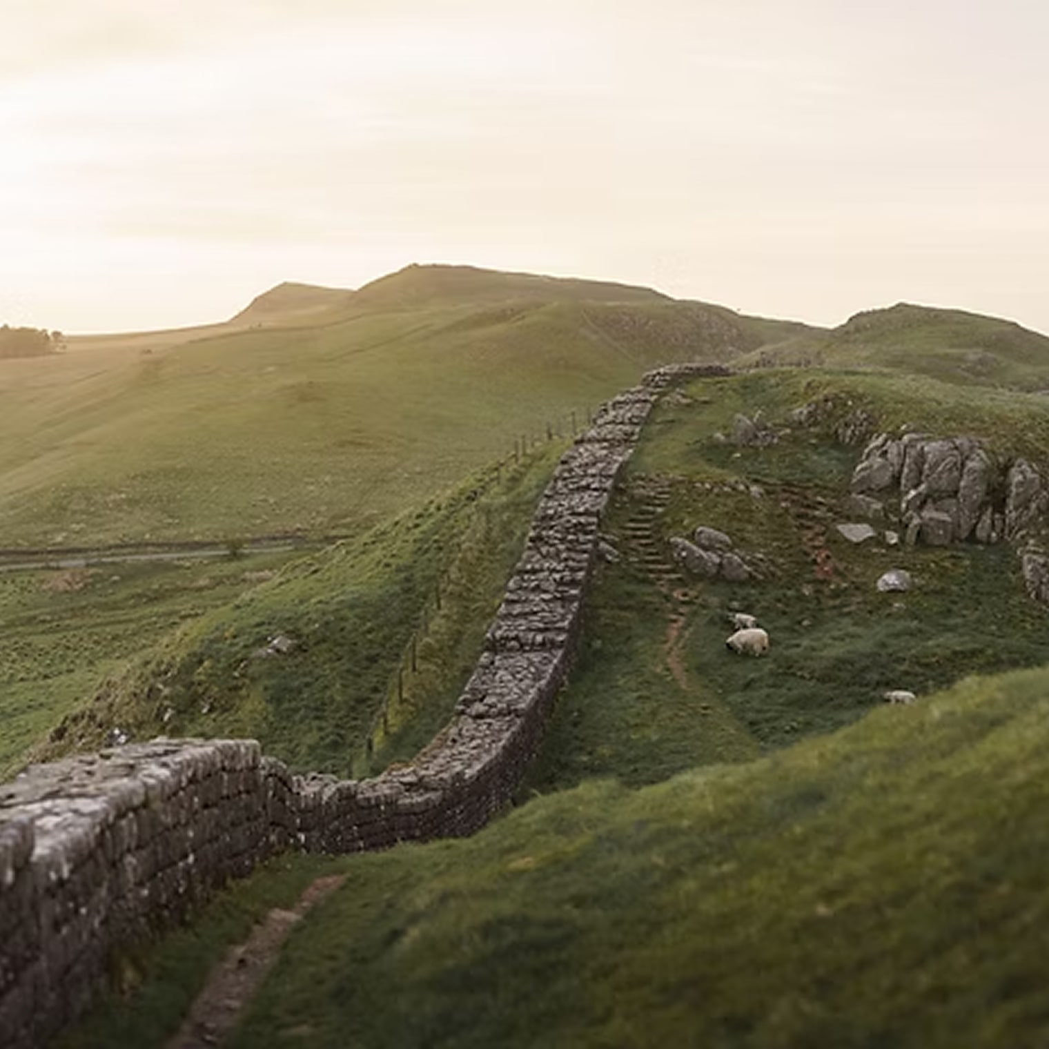 Hadrian's Wall