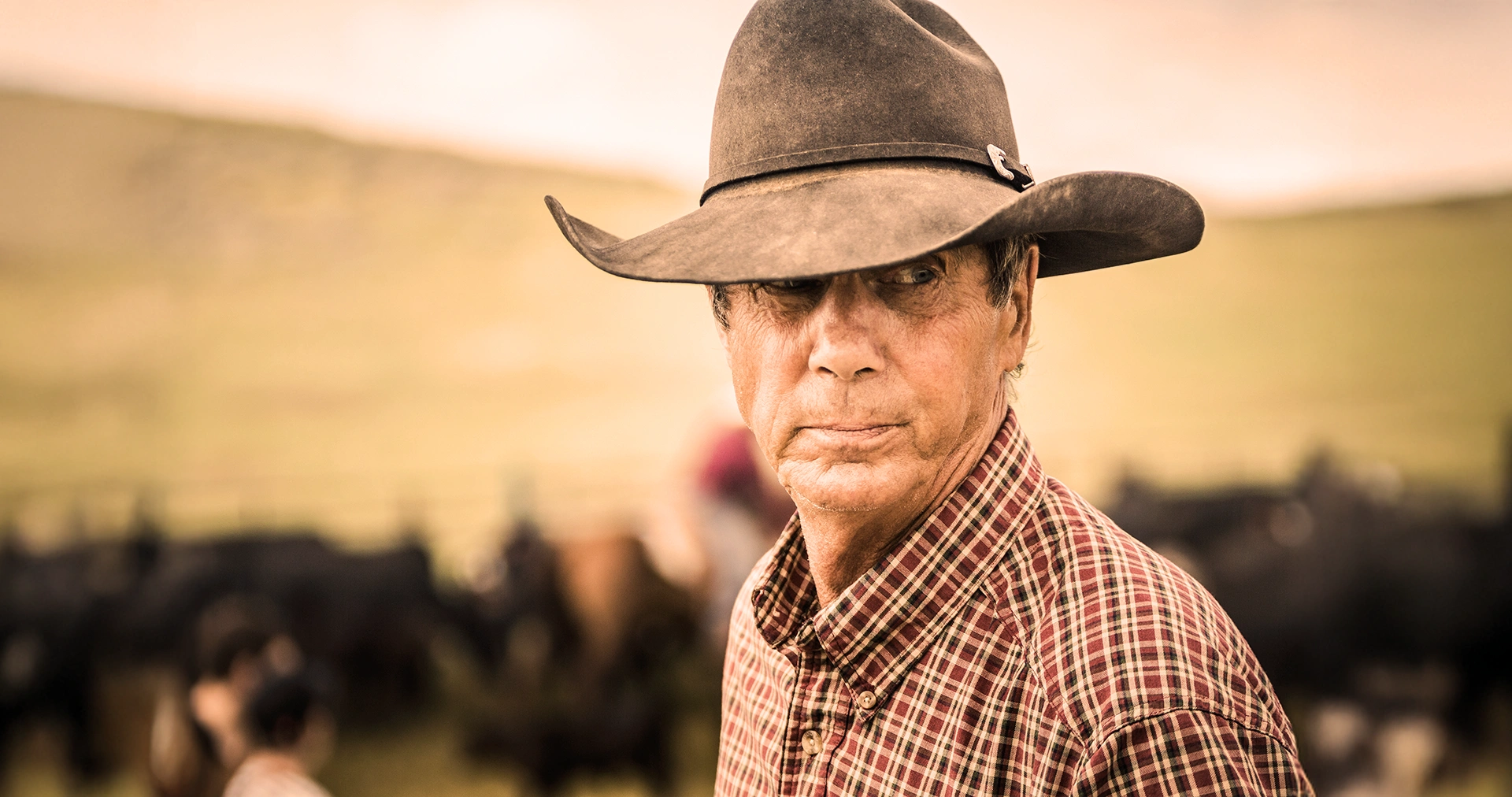 Older man wearing a large cowboy hat and a checkered shirt standing outdoors with blurred cattle and hills in the background.