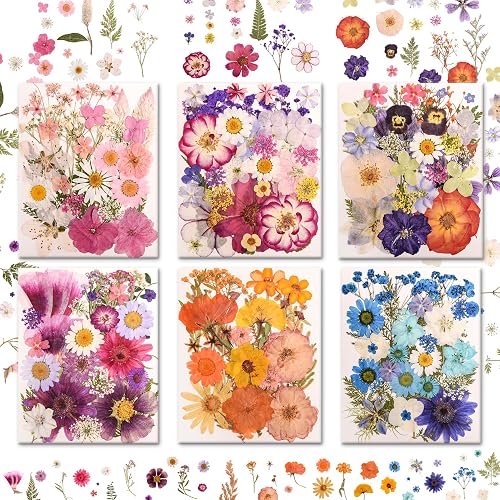 Real Pressed Flowers, 182 Pieces