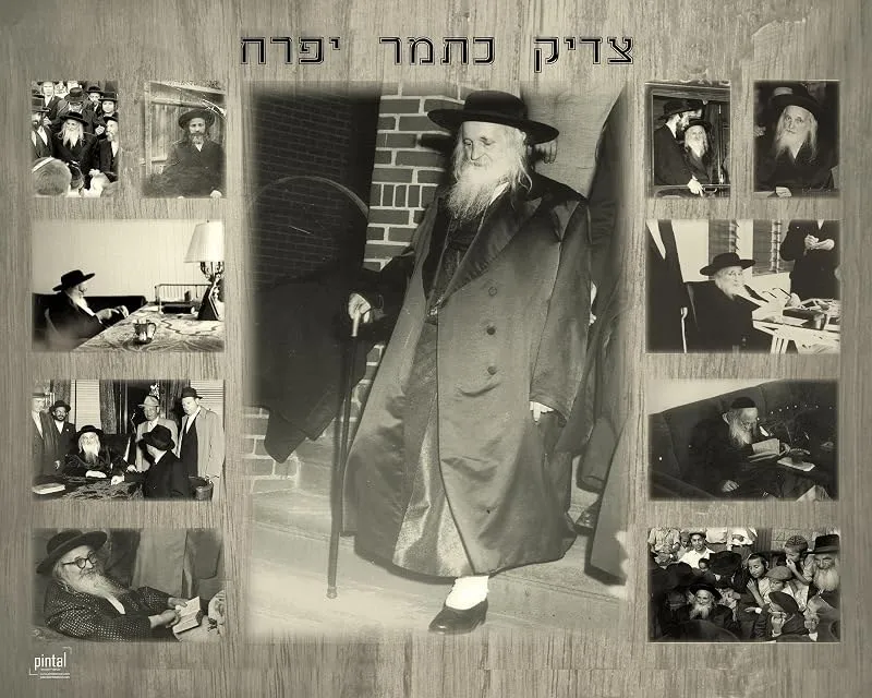 Satmar Rebbe vinyl poster