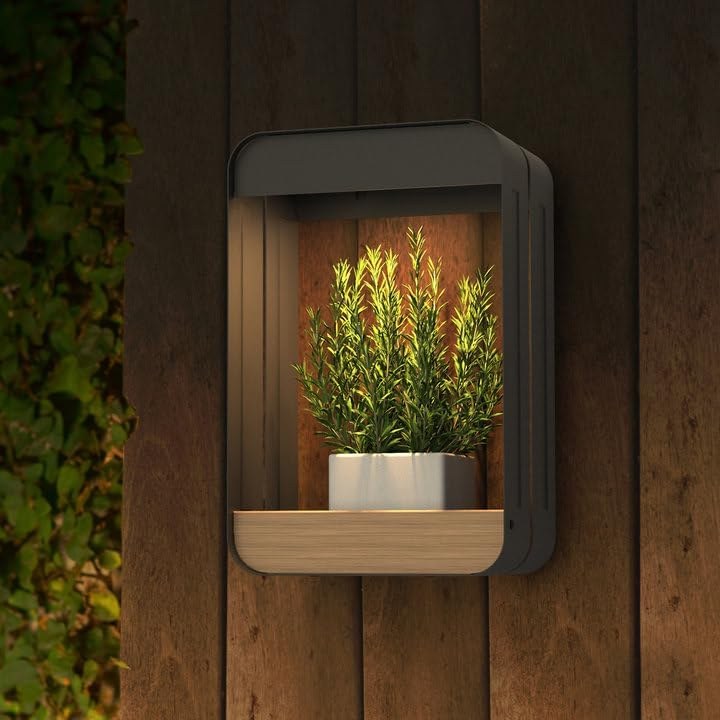 Solar LED lighted showcase
