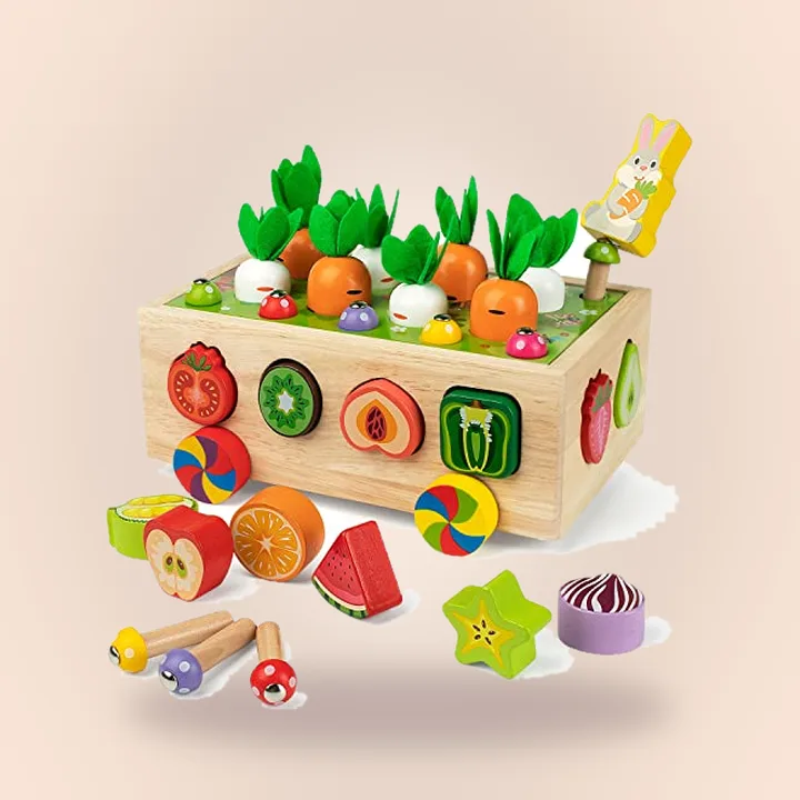 Coogam Harvest Shape Sorter