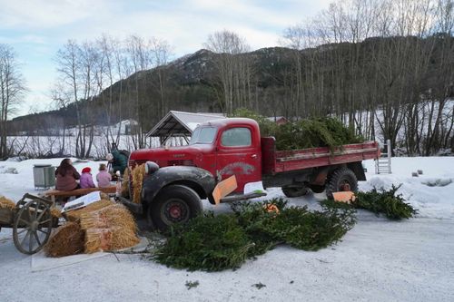 Gjensyn med en gammel kjenning