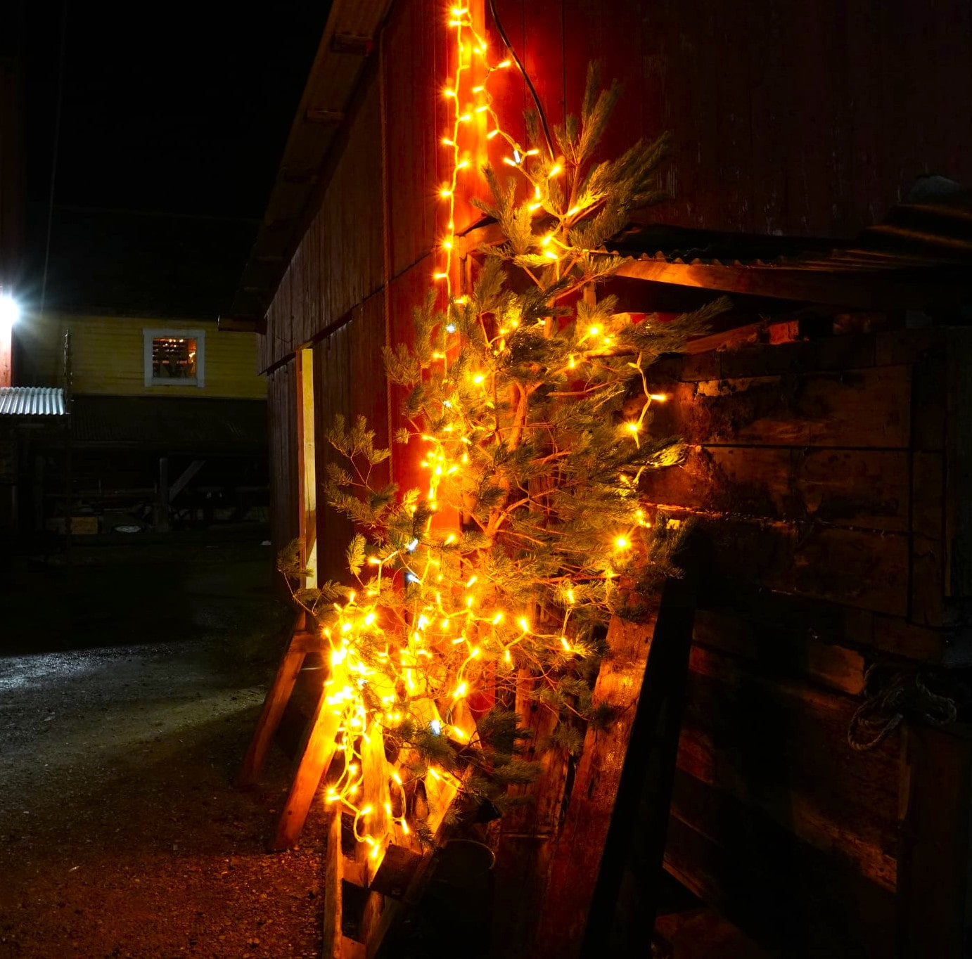 13. Desember - Ave Maria - Nina Hagen