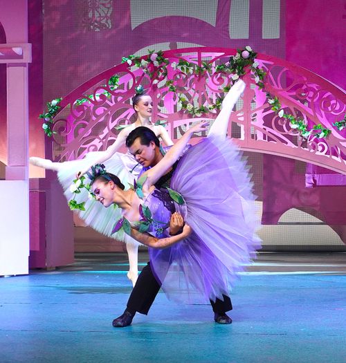 Åpen sak: 18. desember - Blomstervalsen fra Nøtteknekkeren av Peter Ilyich Tchaikovsky