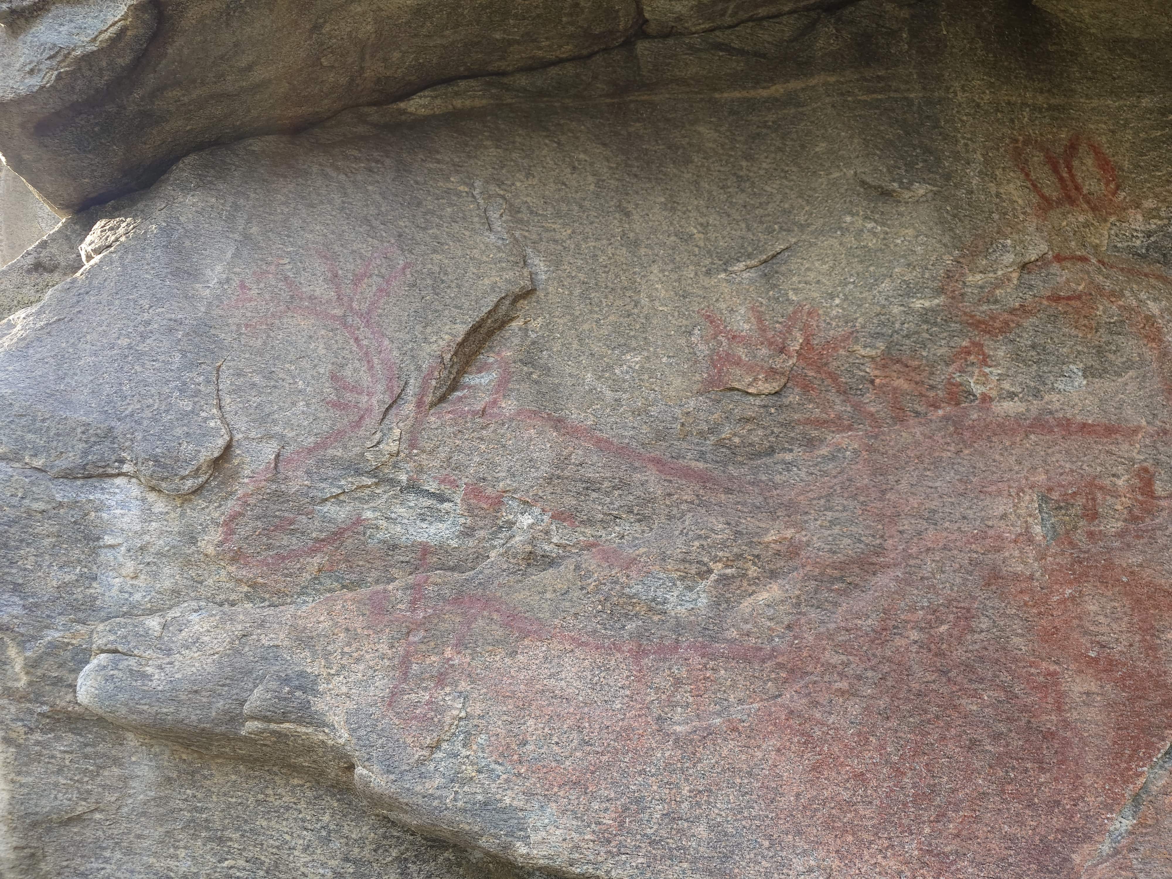 NIKU melder: Nytt område med bergkunst funnet i Tingvoll
