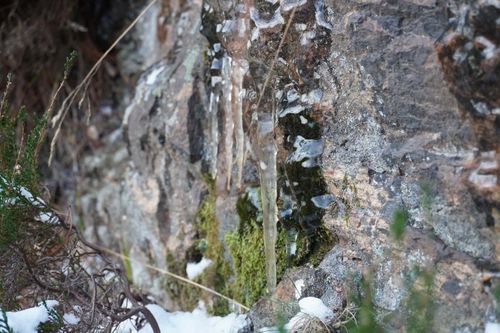 Vinterens kaldeste dilemma