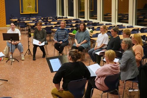 DIS søker flere stemmer